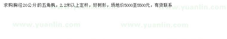 求購胸徑20公分五角楓