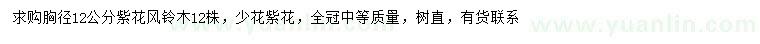 求購(gòu)胸徑12公分少花紫花風(fēng)鈴木