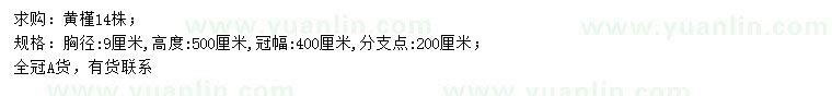 求購胸徑9公分黃槿