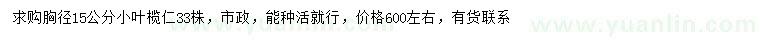 求購胸徑15公分小葉欖仁