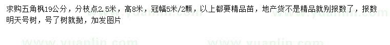 求購19公分五角楓
