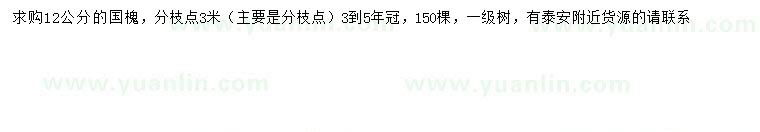 求購12公分國槐