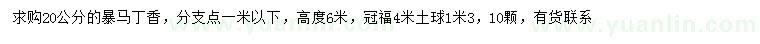 求購20公分暴馬丁香