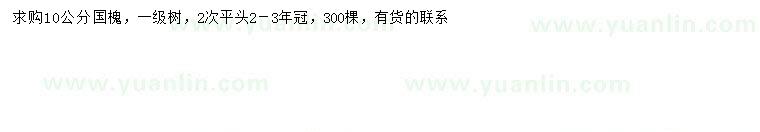 求購10公分國槐
