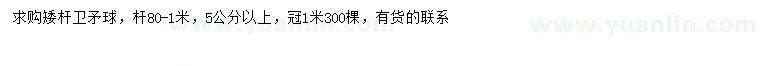 求購冠幅1米衛矛球