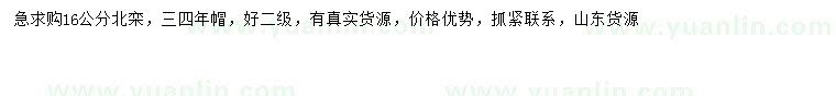 求購16公分北欒