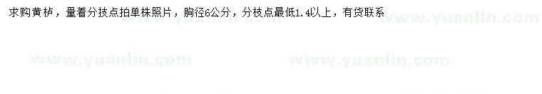 求購胸徑6公分黃櫨