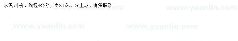 求購胸徑4公分刺槐