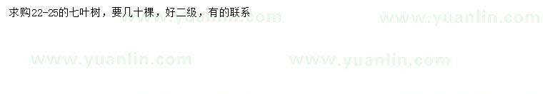 求購22-25公分七葉樹(shù)