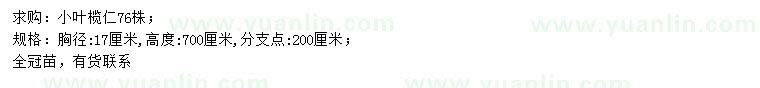 求購胸徑17公分小葉欖仁