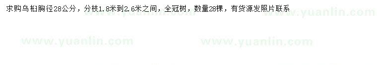 求購胸徑28公分烏桕