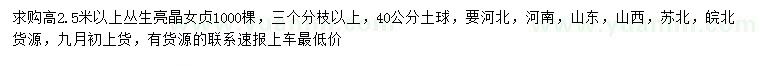 求購高2.5米以上叢生亮晶女貞