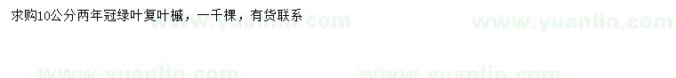 求購(gòu)10公分綠葉復(fù)葉槭