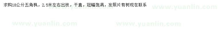 求購18公分五角楓