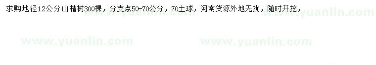 求購地徑12公分山楂