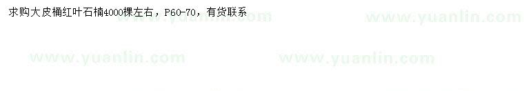 求購冠幅60-70公分紅葉石楠