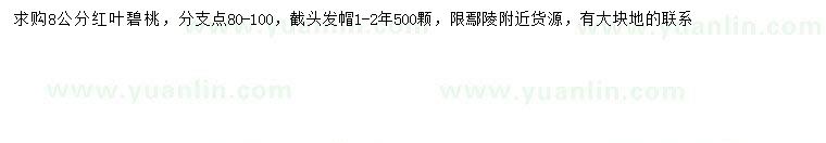 求購8公分紅葉碧桃