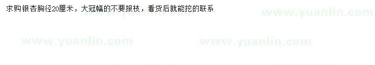 求購胸徑20公分銀杏
