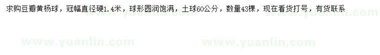求購(gòu)冠幅1.4米豆瓣黃楊球