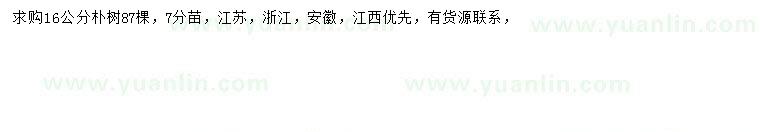 求購16公分樸樹(shù)