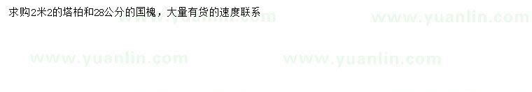求購2.2米塔柏、28公分國槐