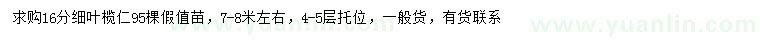 求購16公分細葉欖仁