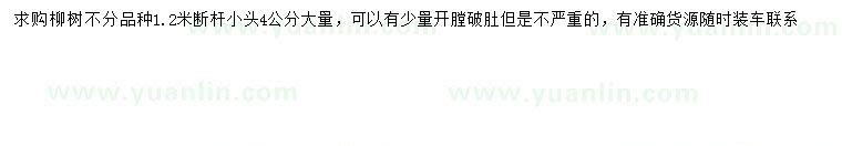 求購1.2米量4公分柳樹(shù)