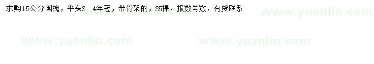求購15公分國槐