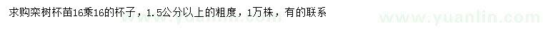 求購1.5公分以上欒樹(shù)
