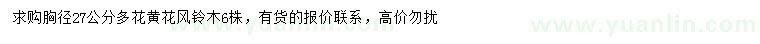 求購胸徑27公分多花黃花風(fēng)鈴木