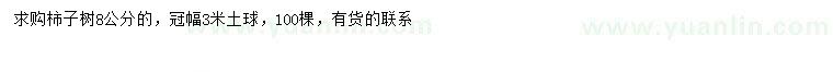 求購8公分柿子樹