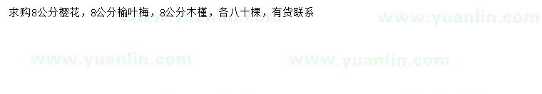 求購(gòu)櫻花、榆葉梅、木槿