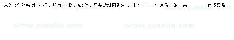 求購(gòu)8公分欒樹