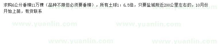 求購6公分垂柳