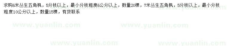 求購(gòu)6、7米叢生五角楓