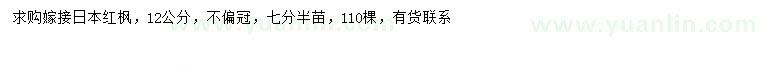 求購12公分日本紅楓