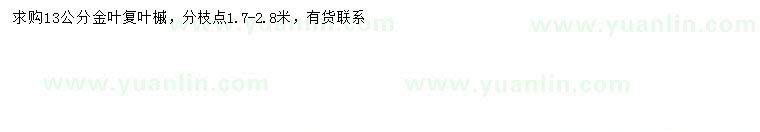 求購13公分金葉復(fù)葉槭