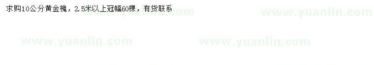 求購10公分黃金槐