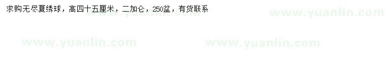 求購高45公分無盡夏繡球