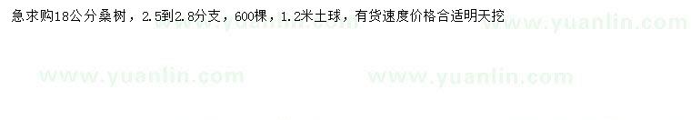 求購18公分桑樹