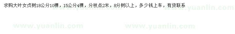 求購15、18公分大葉女貞