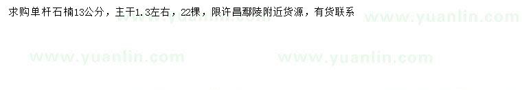 求購13公分石楠