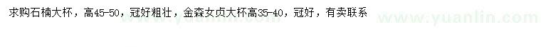 求購高45-50公分石楠、高35-40公分金森女貞