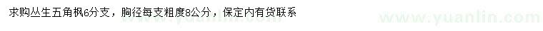 求購(gòu)6分支叢生五角楓