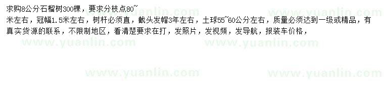 求購8公分石榴