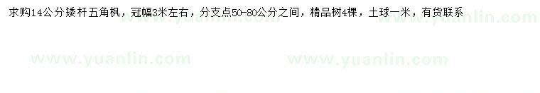 求購(gòu)14公分五角楓