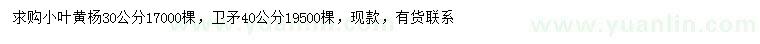 求購30公分小葉黃楊、40公分衛(wèi)矛