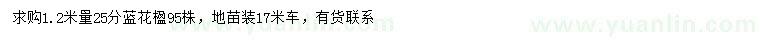 求購1.2米量25公分藍花楹