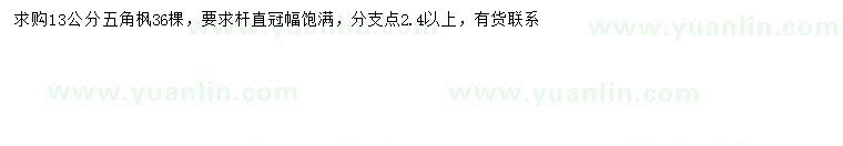 求購13公分五角楓