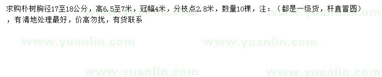 求購胸徑17-18公分樸樹